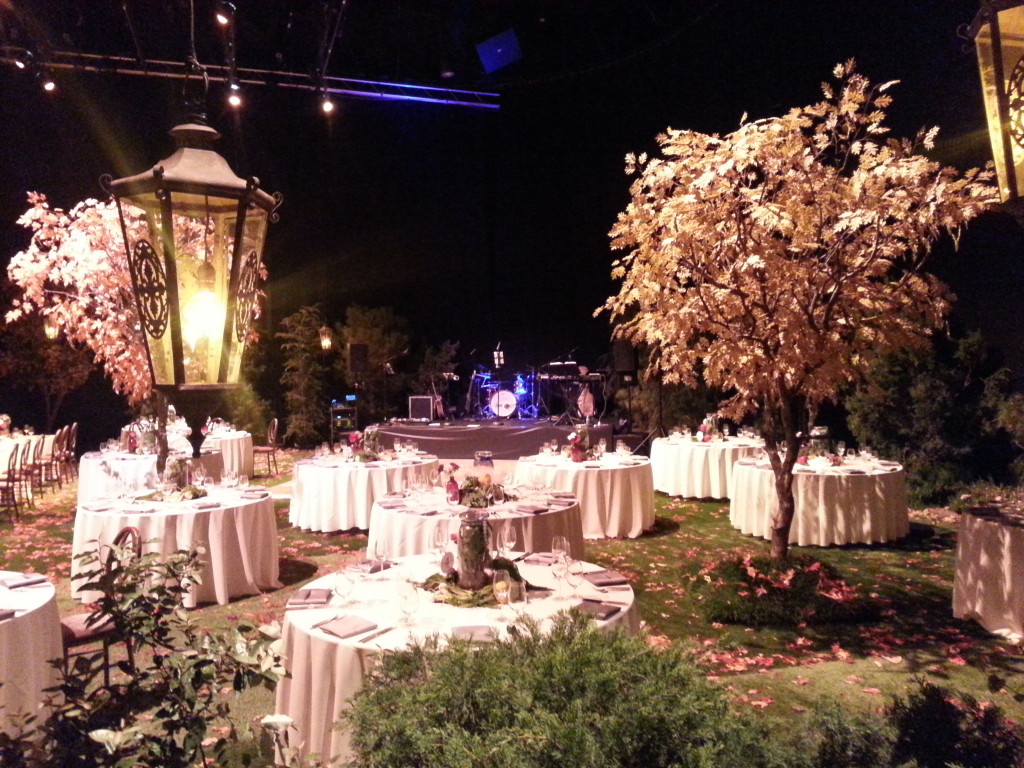 Wedding Reception Decorations | Enchanted Forest at Jim ...