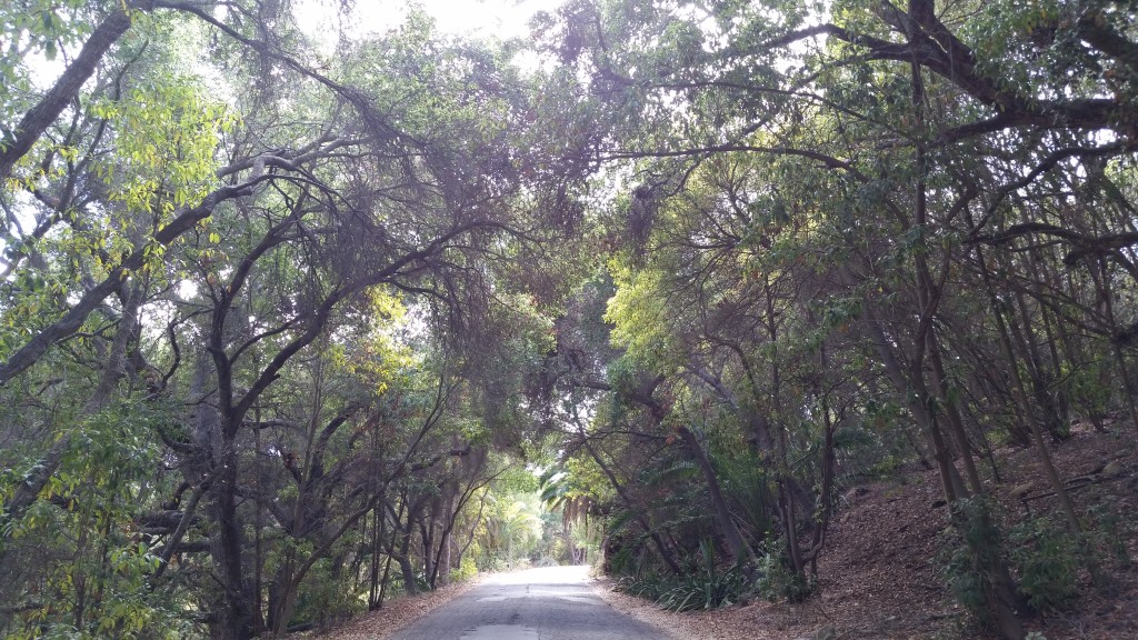 Rancho Dos Pueblos wedding