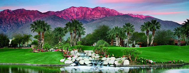 Palm springs wedding